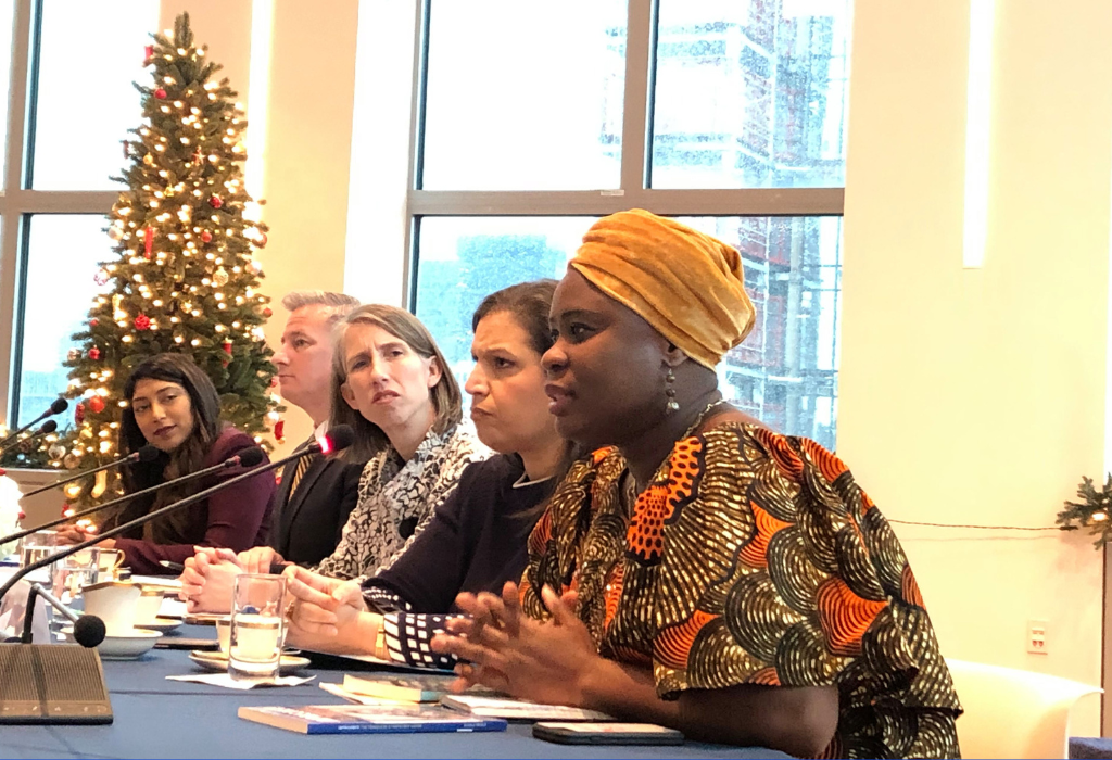 Honorable Bukola Oriola presenting at the United Nations Security Council, New York.